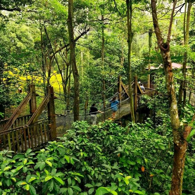 Jurong Bird Park