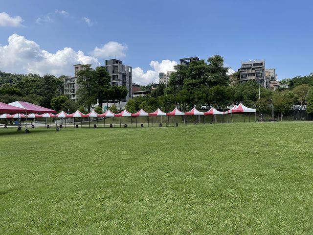 內湖最棒的野餐公園 
