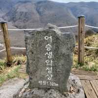 한라산을 느껴볼 수 있는 어승생악