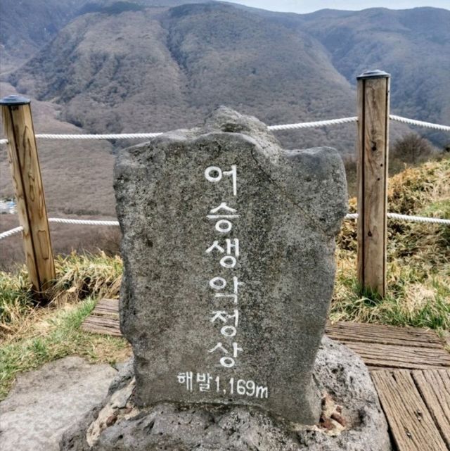 한라산을 느껴볼 수 있는 어승생악