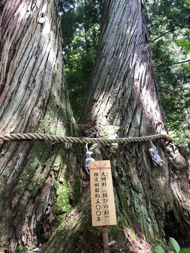 【長野・長野市】戸隠神社５社巡り②