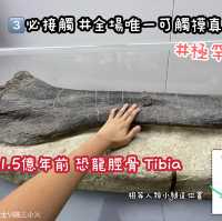 《恐龍展🦕必睇7項嬰幼龍醫護》