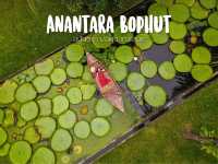 Pool Villa Anantara บ่อผุด สมุย
