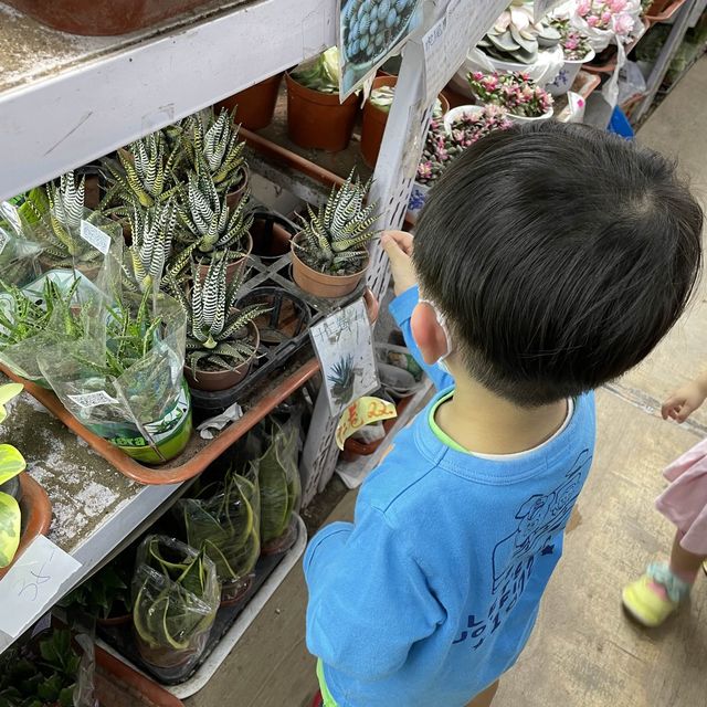 漫遊生活，遊玩花墟