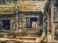 Ta Promh Temple 
