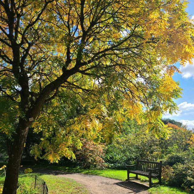 Autumn Bath 