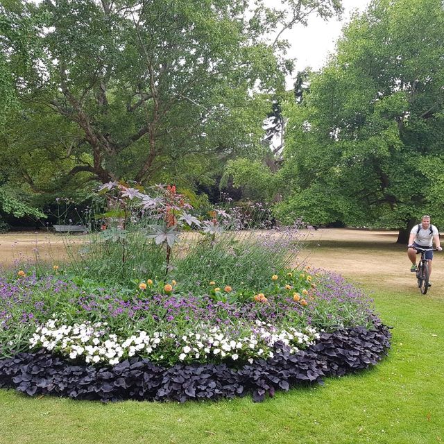 Greenwich Park in London - favourite spot