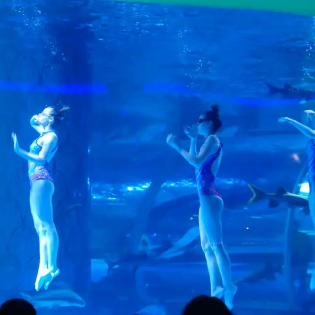 Wonderful Aquarium. Mermaid show. 