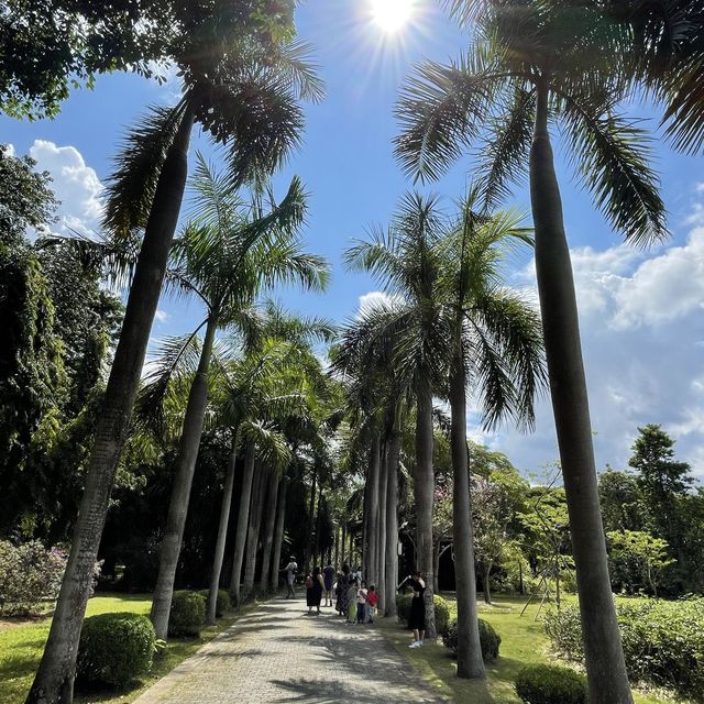 Tropical flowers garden - Xishuangbanna 