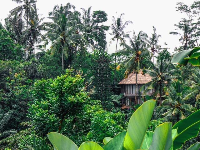 Private Villa with Lush Jungle Landscape