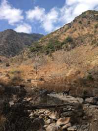 Amazing Lijiang - Taizi Guan 