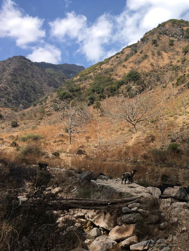Amazing Lijiang - Taizi Guan 