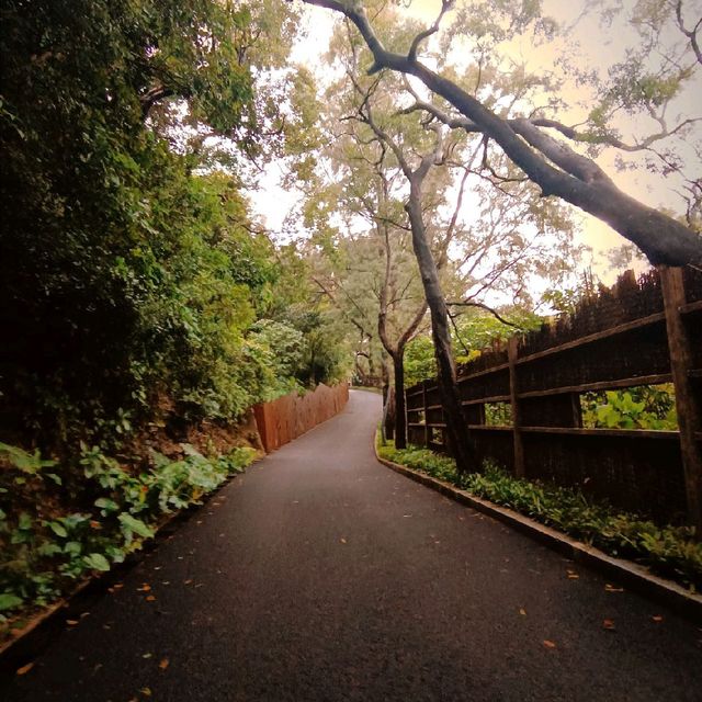 Rainy stroll on this quaint coastal park ❤️