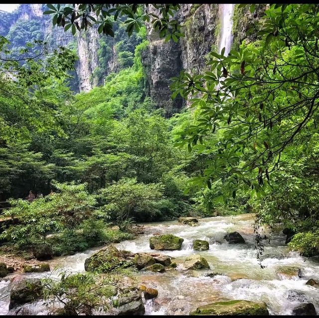 Zhangjiajie Grand Canyon. 