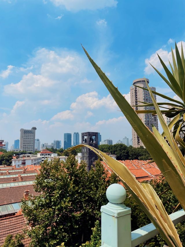 BoboLEE Rooftop Garden, Shanghai🌱🌿