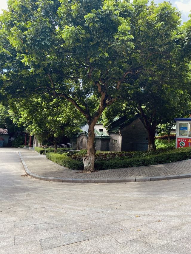 Dongguan- Qifeng Park