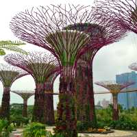the innovative architecture of Singapore 