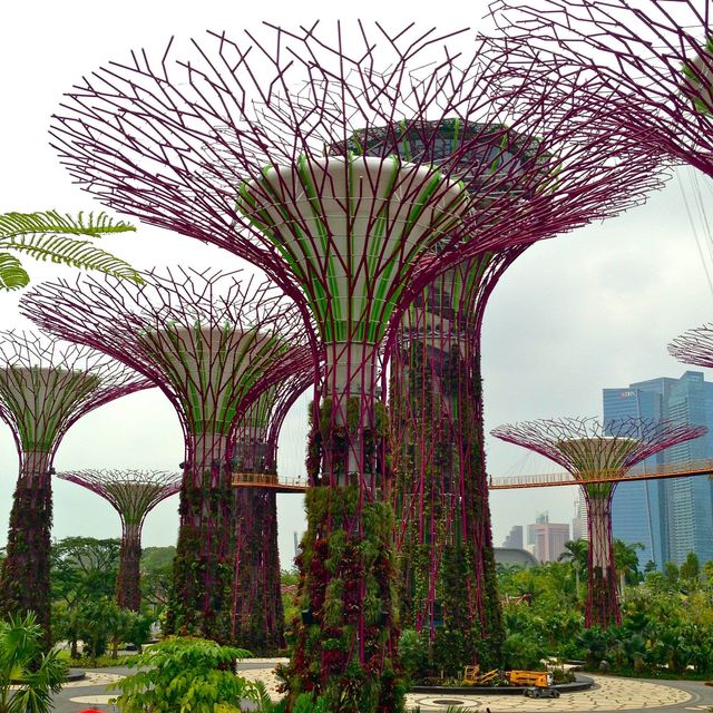 the innovative architecture of Singapore 