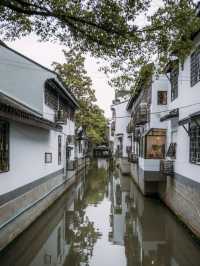 Canal hunting in Suzhou 