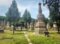 Fast Hands and Still Hearts: Shaolin Temple