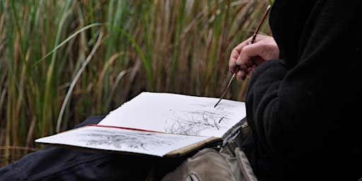 Get Creative on Ossabaw: Day Trip to Ossabaw Island | Ossabaw Island, North End
