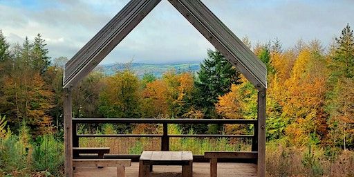 Zest Singles Winter walk at Haldon Forest | Haldon Forest Park - Forestry England