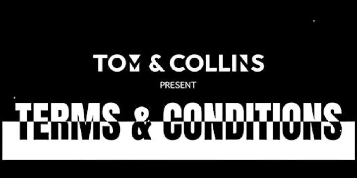 Terms & Conditions Merida | Aura beach