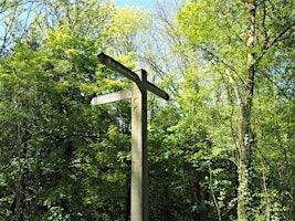 Walk 27 Sutton Wood 4 miles | YHA Ironbridge Coalport