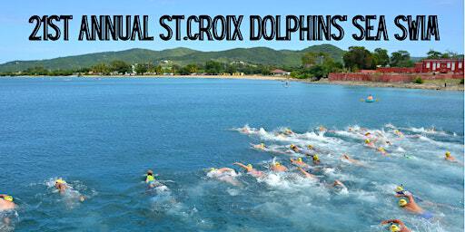 21st Annual St.Croix Dolphins' Sea Swim | Frederiksted Pier