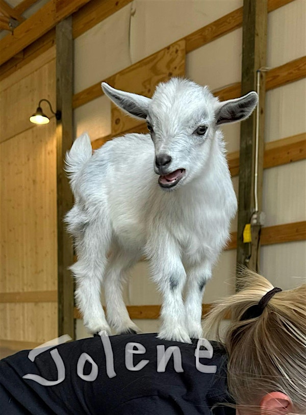 Goat Yoga Nashville- Spring Has Sprung | Goat Yoga Nashville