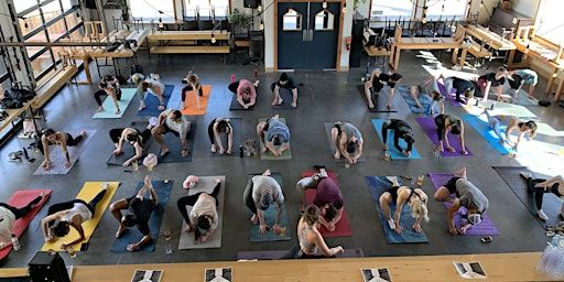 YYC Yoga & Beer! | Tailgunner Brewing & Acme Pizza