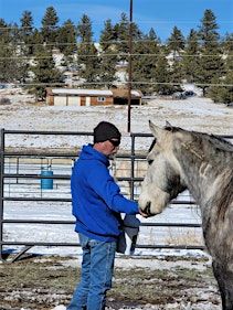 LIMA (Least Invasive Minimally Aversive) Horsemanship Clinic | Blackberry Stables, Leicester
