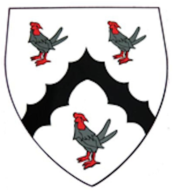 St Thomas More Primary School Meet Up | JustPlay Saffron Walden