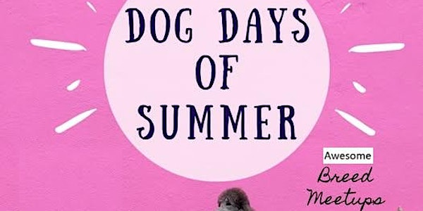 Rescue Dog Meetup - Hounds of Erie Winery Presents: Dog Days of Summer | Hounds of Erie Winery
