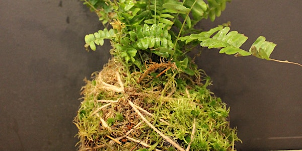 Kokedama workshop - the art of mossballs | Between Two Thorns