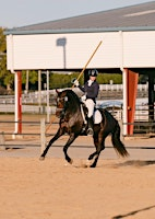 The WAWE World Qualifier and WECO Market | Royal Canadian Riding Academy