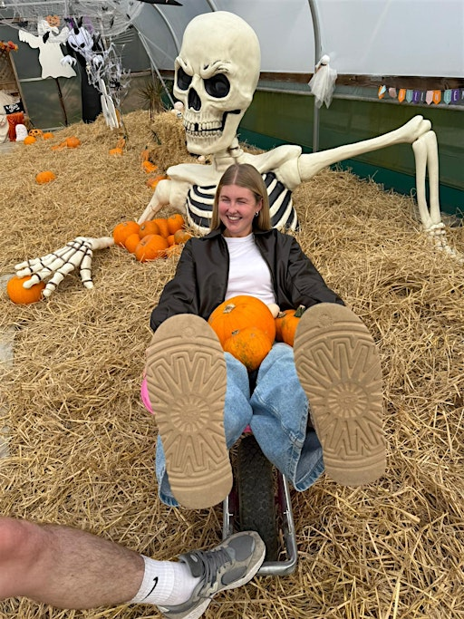 Loch-Hills Pumpkin Patch 2026 | Loch Hills Plant Centre