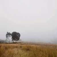 Ijen, banyuwangi jawa timur