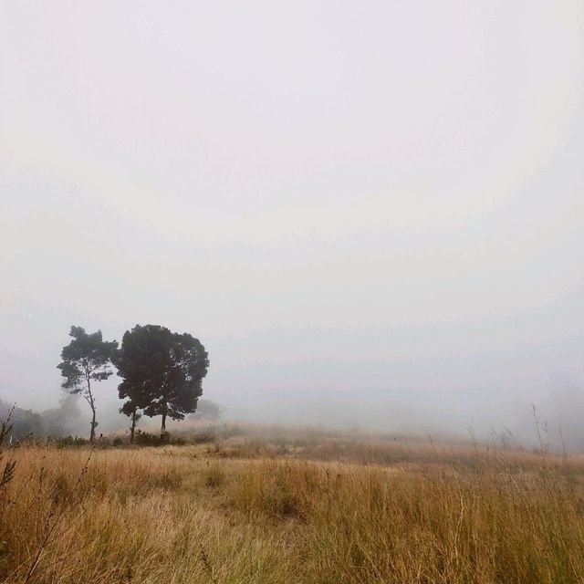 Ijen, banyuwangi jawa timur