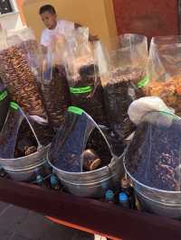 Tequila, Jalisco- Birthplace of Tequila 