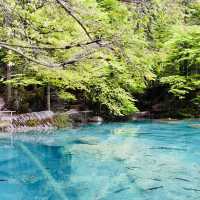 Blausee สะเลสาปสีฟ้า🇨🇭