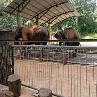 Malacca Zoo