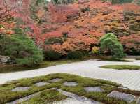 京都[紅葉めぐり] 南禅寺　天授庵- 枯山水庭園にて和む -