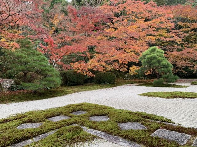 京都[紅葉めぐり] 南禅寺　天授庵- 枯山水庭園にて和む -