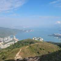 愉景灣芒草之旅｜老虎頭