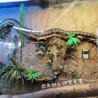 免費動物全接觸