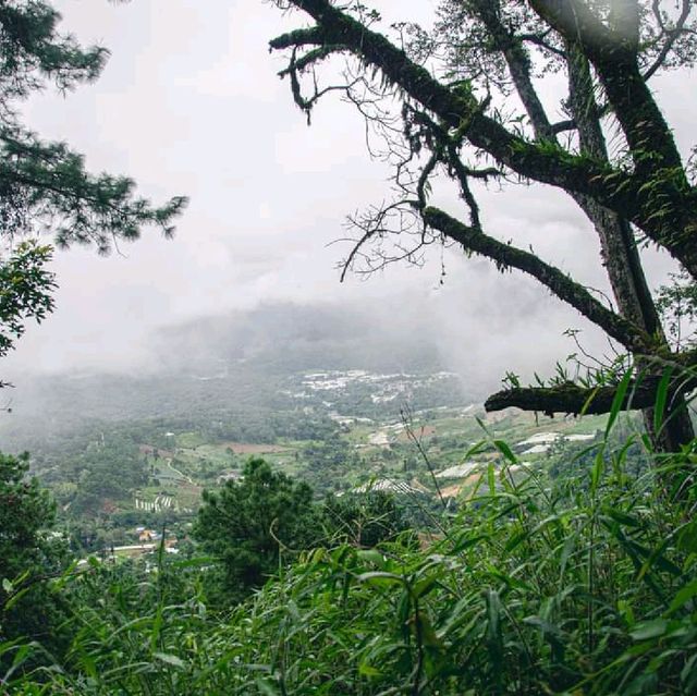 ⛰️ผาแง่ม ผาสองฤดู ขุนวาง จังหวัดเชียงใหม่⛰️