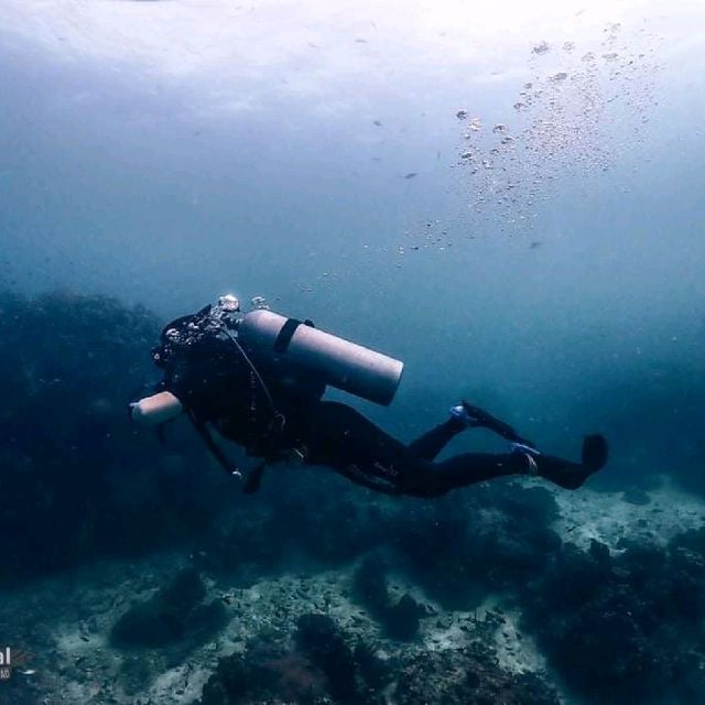 Scuba diving at Koh Tao