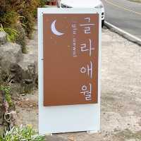 귤나무가 보이는 제주 감성숙소 “글라애월” 