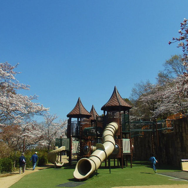 河内長野公園で遊ぼう！